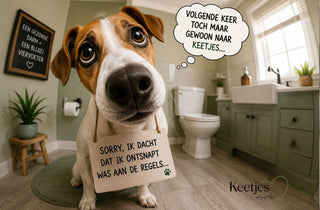 Mijn hond heeft diarree. Wat nu?