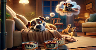 Honden en Dromen: Een Intrigerend Kijkje in de Slaap van Onze Vierbenige Vrienden - Keetjes