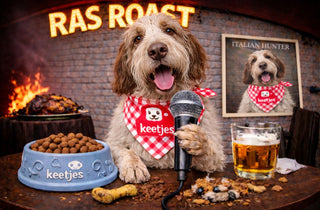 RasRoast: Spinone Italiano