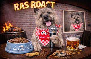 RasRoast: Cairn Terrier