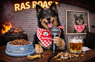 RasRoast: Chodsky pes