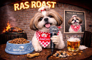 RasRoast: Shih Tzu