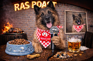 RasRoast: Tervuerense Herder