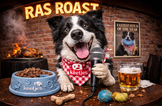 RasRoast: Border Collie