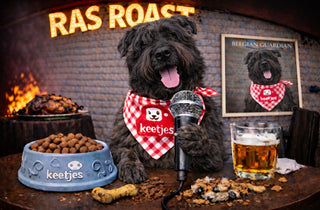 RasRoast: Bouvier des Flandres