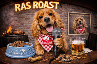 RasRoast: Cocker Spaniel
