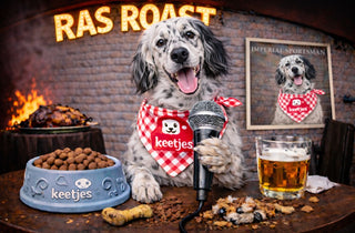 RasRoast: Engelse Setter