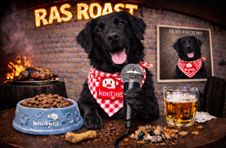 RasRoast: Flatcoated Retriever