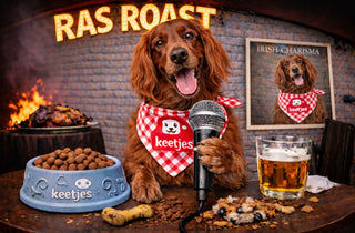 RasRoast: Ierse Setter