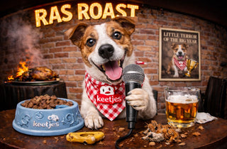 RasRoast: Jack Russell Terrier