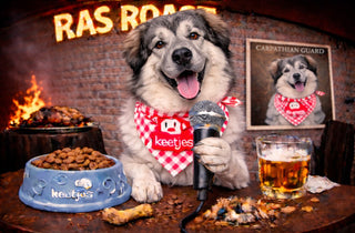 RasRoast: Karpatische Herdershond
