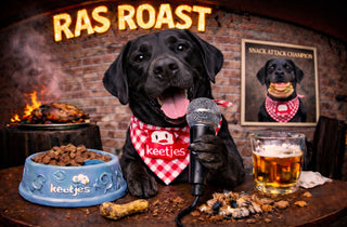 RasRoast: Labrador Retriever