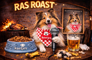 RasRoast: Shetland Sheepdog