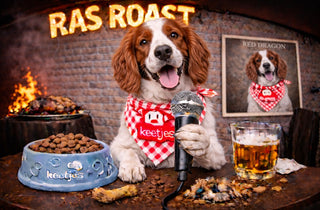 RasRoast: Welsh Springer Spaniel