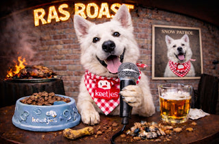 witte herder in beeld voor de rasroast