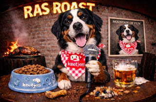 RasRoast: Grote Zwitserse Sennenhond
