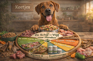 De Schijf van Vijf voor Honden: zo stel je het perfecte menu samen