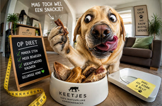 Mijn hond moet afvallen… mag hij dan geen snacks meer?