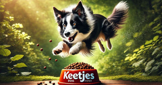 Springende Border Collie met een verlekkerde blik, onderweg naar een voerbak gevuld met vers gehakt en Keetjes hondenvoer. De bak heeft zichtbare condensdruppels voor een extra verse uitstraling. De achtergrond toont een natuurlijke, groene omgeving
