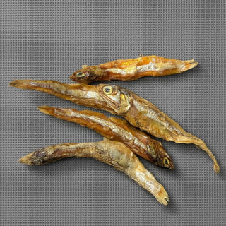Ansjovis
