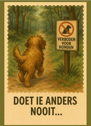 Kaartenset 2 – Humor & Herkenning