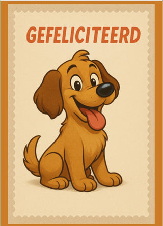 Kaartenset 4 – Feest & Succes