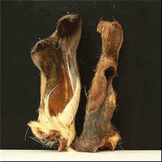 Geitenoren met haar