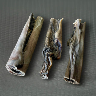 Hertenkophuid 10-15 cm