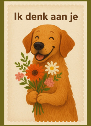 Kaartenset 3 – Steun & Troost