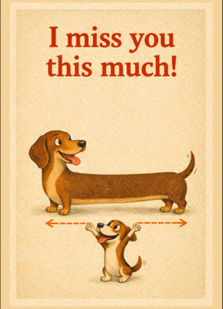 Kaartenset 6 – Gemengd Favorietenpakket