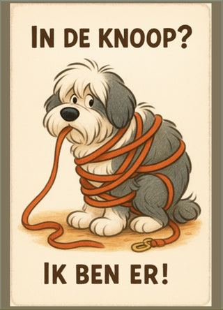 Kaartenset 3 – Steun & Troost