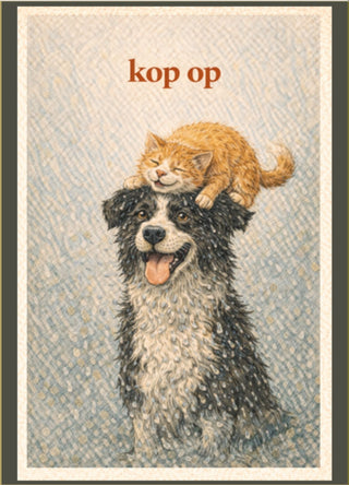 Kaartenset 3 – Steun & Troost