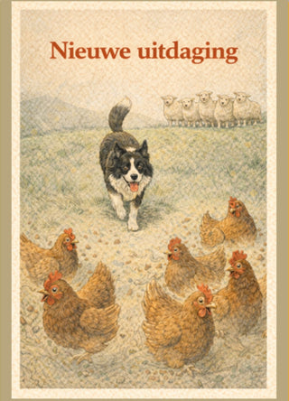 Kaartenset 4 – Feest & Succes