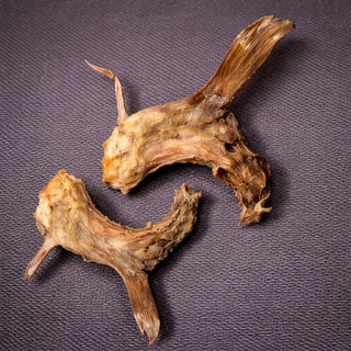 Noorse Koolvis Collar Bone