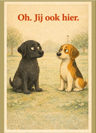 Kaartenset 2 – Humor & Herkenning