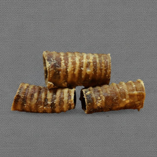 Paardenluchtpijp 5-10 cm