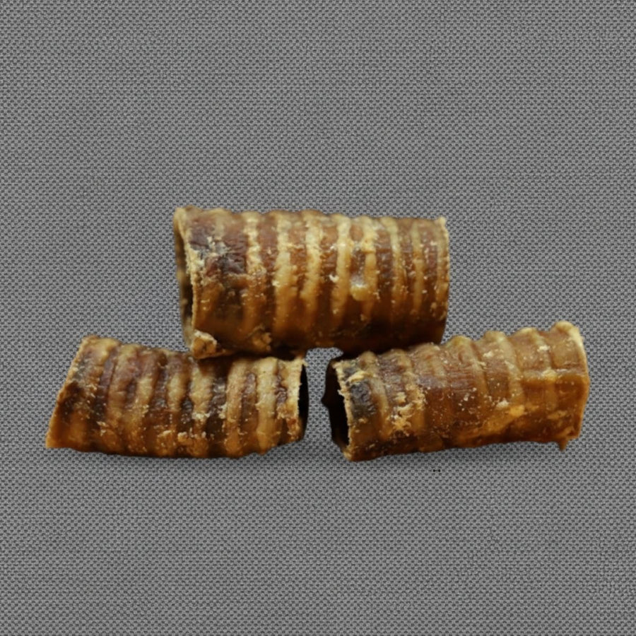 Paardenluchtpijp 5-10 cm