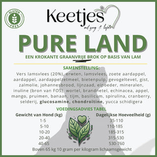 Pure Land