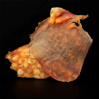 Runderblaas