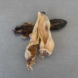 Schapenoren met haar