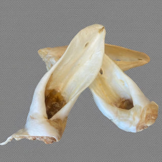 Schapenoren zonder haar