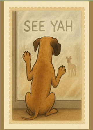 Kaartenset 5 – Vriendschap & Liefde