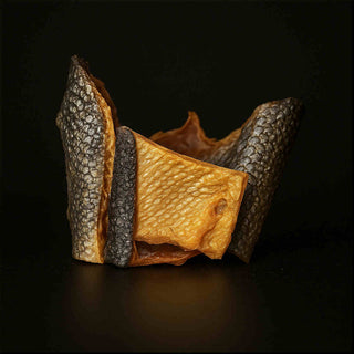 Zalmhuid met filet 8-12 cm