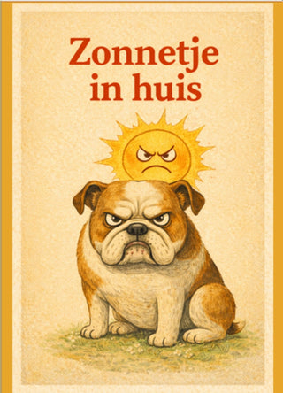 Kaartenset 4 – Feest & Succes