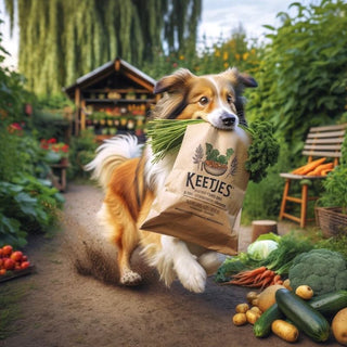 Powerfoods - Keetjes